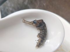 松茸海马炖老鸡-瓦库茶馆17号(海汇港店)