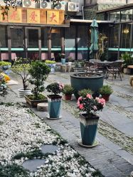 -保丽宝泰母婴护理院·月子中心·产康·中医(常州店)