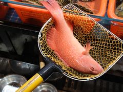 -醉壹号海鲜大排档•三十年老字号(厦门美食地标店)