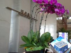 -视界美食自助餐厅·石家庄希尔顿酒店