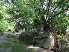 -乌山风景区