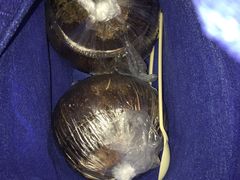 -志龙皇冠吃货椰子铺