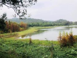 -佛灵湖水上乐园