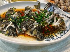 -阿四台山黄鳝饭(东门店)