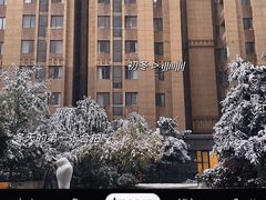 -缤纷鸟美术书法(建大校区)