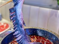 -蛙老爹·蜀香美蛙鱼头(王家湾店)