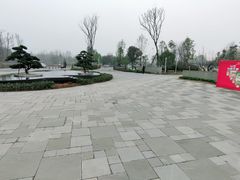 -桤木河湿地公园