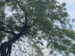 -尼依格罗香港美利酒店