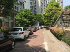 -新湖明珠城
