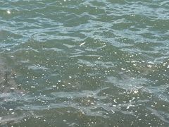 -东钱湖小普陀景区