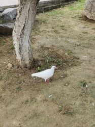 -玄武湖景区-情侣园游乐场