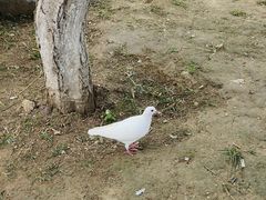 -玄武湖景区-情侣园游乐场