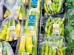 -AEON永旺(东方宝泰店)