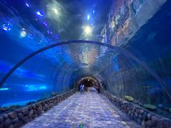 -华夏文旅海洋公园