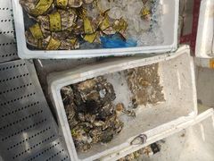 水产区-新农都水产市场