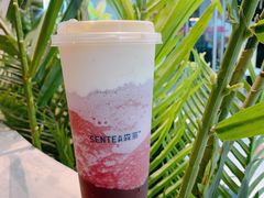 -SENTEA森茶(麦地丽日店)