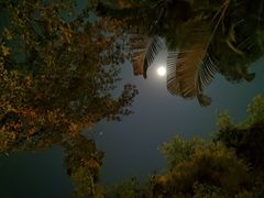 -广州锦绣香江度假别墅