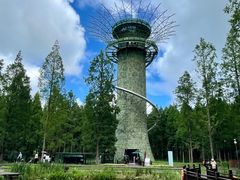 -黄海国家森林公园