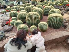 -南通洲际绿博园