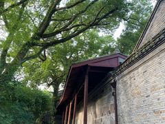 -天一阁博物院