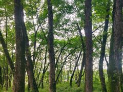 -西溪南古村落景区