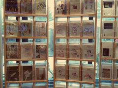 -猫的天空之城概念书店(杭州南宋御街店)