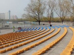 -莲花池公园
