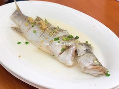 盐水海鲈（软边半条）-煲煲掂风味煲仔饭餐厅(西区店)