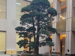 -外滩·云南人家(昆明旗舰店)