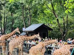 -大连森林动物园