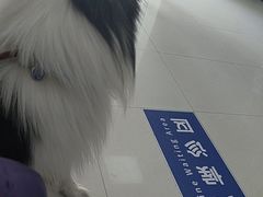 -申普宠物医院(总院)