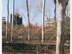 -廊坊文化艺术中心