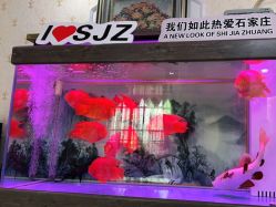 点击看大图 -安院长·产后恢复·徒手骨盆(先天下店)
