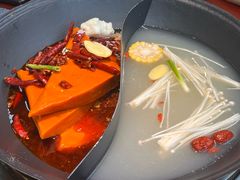 -阳阳老火锅(小南门店)