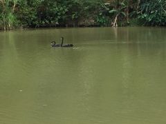 -泉州海丝野生动物世界