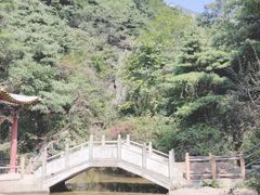 -王顺山国家森林公园