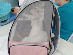 -纳吉亚猫专科动物医院·北北分院