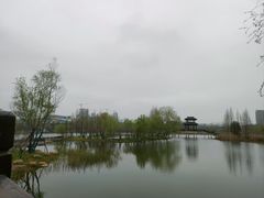 -洋湖国家湿地公园