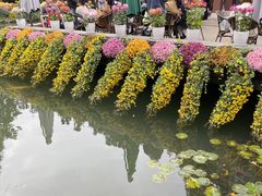 -杭州植物园