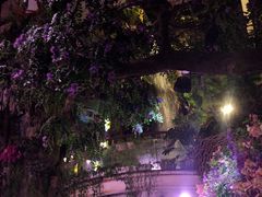 -正佳雨林生态植物园