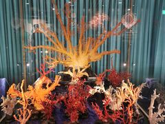 -绮丽珊瑚(台北101旗舰门市店)