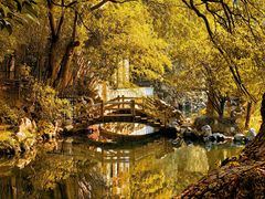 -无锡蠡湖国家湿地公园-蠡园