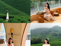 -帐篷客·溪龙茶谷度假酒店