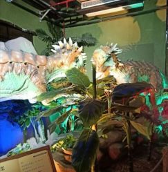 -恐龙探索乐园(磁器口店)