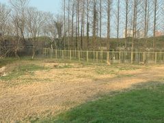 -上海野生动物园
