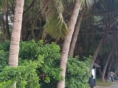 -深圳湾公园(南山区)