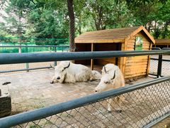 -长白岛森林公园