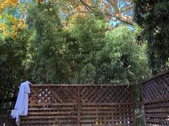 -春晖园度假酒店温泉