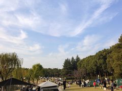 -黄兴公园