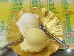 椰子雪糕-顺记冰室(宝华路店)